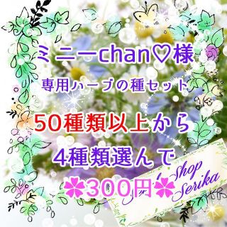 ミニーchan♡様専用 ハーブの種セット 家庭菜園 野菜(その他)