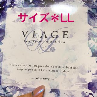 viage ヴィアージュ ナイトブラLLサイズ(ブラ)