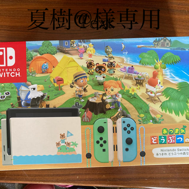 ゲームソフトゲーム機本体Nintendo Switch あつまれ どうぶつの森セット/Switch/HA