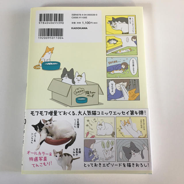角川書店(カドカワショテン)のうちの猫がまた変なことしてる。 ４ エンタメ/ホビーの本(文学/小説)の商品写真