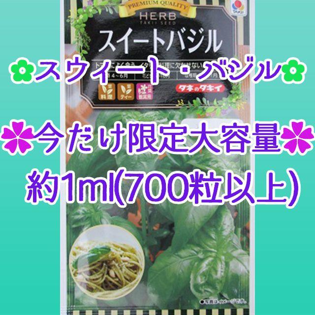 スイートバジル大容量1ml　家庭菜園 野菜 ハーブ 種 825 ハンドメイドのフラワー/ガーデン(その他)の商品写真