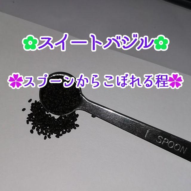 スイートバジル大容量1ml　家庭菜園 野菜 ハーブ 種 825 ハンドメイドのフラワー/ガーデン(その他)の商品写真