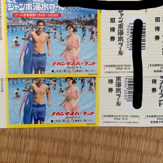 長島ジャンボ海水プール＆スパーランド招待券＆なばなの里無料入村券2枚セット(プール)