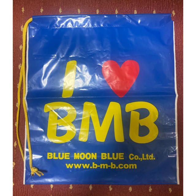 BLUE MOON BLUE(ブルームーンブルー)の【送料無料】値下げ　お得！BLUE MOON BLUE ショップ袋　期間限定　 レディースのバッグ(ショップ袋)の商品写真