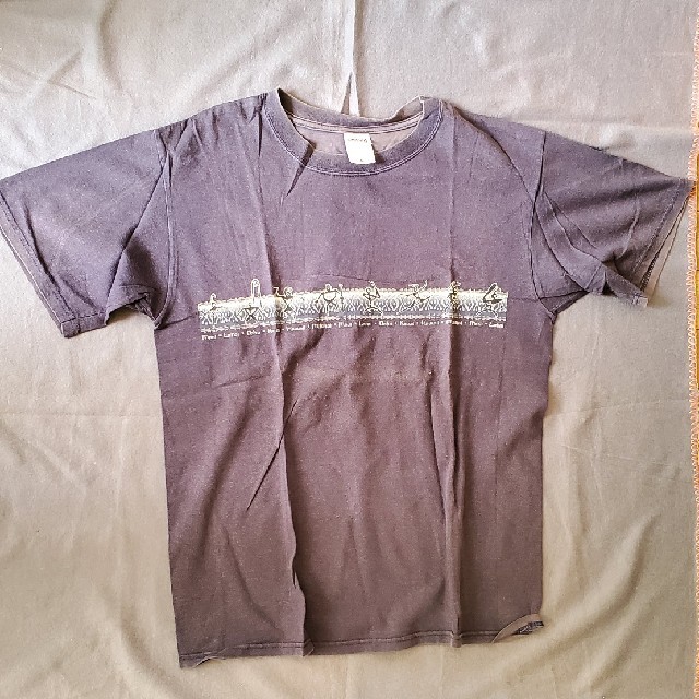 Anvil(アンビル)のHAWAII Tシャツ メンズのトップス(Tシャツ/カットソー(半袖/袖なし))の商品写真