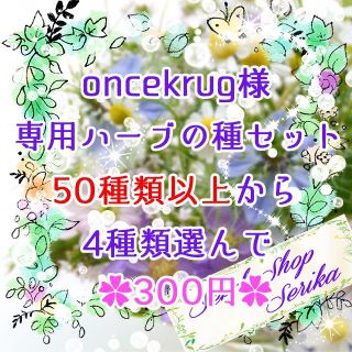 oncekrug様専用 ハーブの種セット 家庭菜園 野菜(その他)