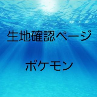 生地確認ページ　ポケモン　9種類(外出用品)