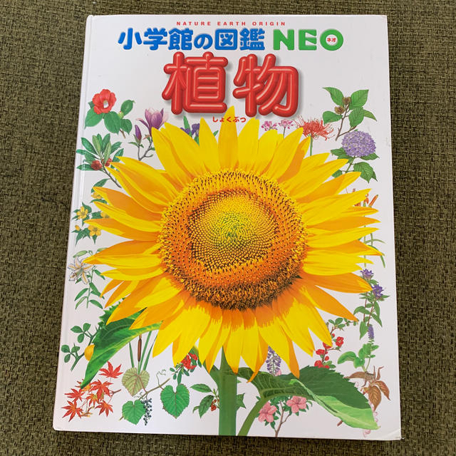 小学館(ショウガクカン)の小学館の図鑑NEO 植物 エンタメ/ホビーの本(絵本/児童書)の商品写真