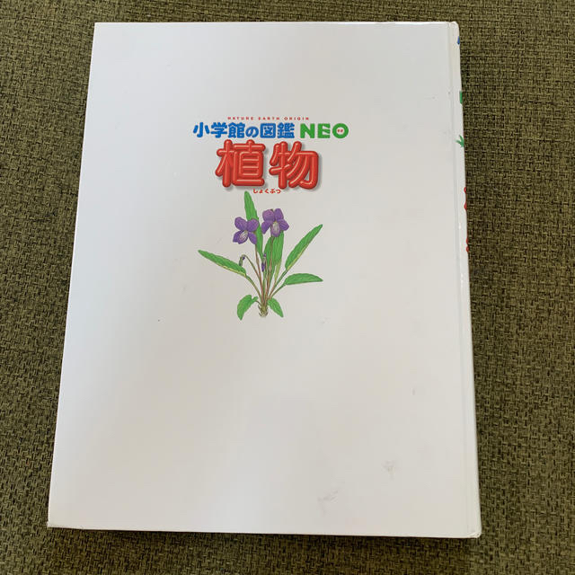 小学館(ショウガクカン)の小学館の図鑑NEO 植物 エンタメ/ホビーの本(絵本/児童書)の商品写真