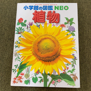 ショウガクカン(小学館)の小学館の図鑑NEO 植物(絵本/児童書)