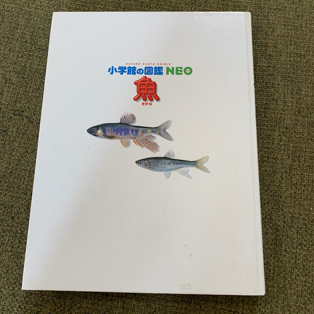 小学館(ショウガクカン)の小学館の図鑑NEO 魚と恐竜 エンタメ/ホビーの本(絵本/児童書)の商品写真