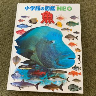 ショウガクカン(小学館)の小学館の図鑑NEO 魚と恐竜(絵本/児童書)