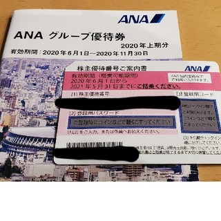 エーエヌエー(ゼンニッポンクウユ)(ANA(全日本空輸))のANA株主優待券(その他)