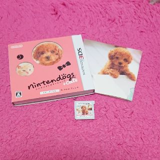 ニンテンドー3DS(ニンテンドー3DS)のnintendogs + cats　3DSソフト(携帯用ゲームソフト)