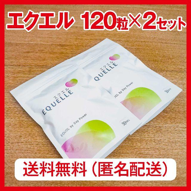 大塚製薬 エクエル パウチ 120粒（30日分）×2セット食品/飲料/酒