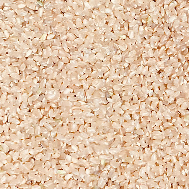 新米！令和２年度 高知県産コシヒカリ １０kg玄米 精米無料 食品/飲料/酒の食品(米/穀物)の商品写真