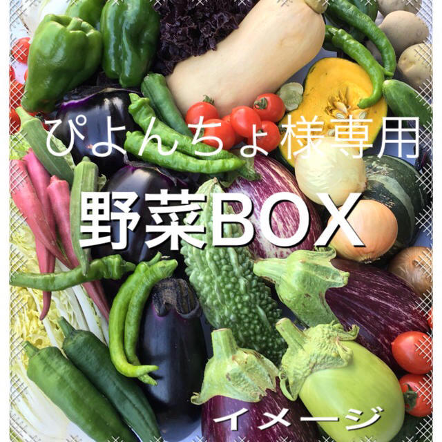 野菜BOX  Mサイズ　ぴよんちょ様専用 食品/飲料/酒の食品(野菜)の商品写真