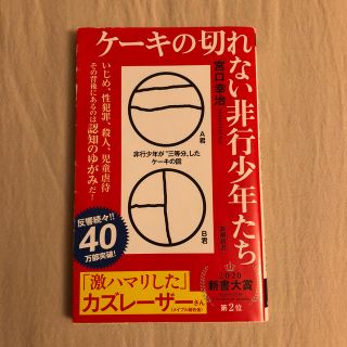 ケーキの切れない非行少年たち(文学/小説)