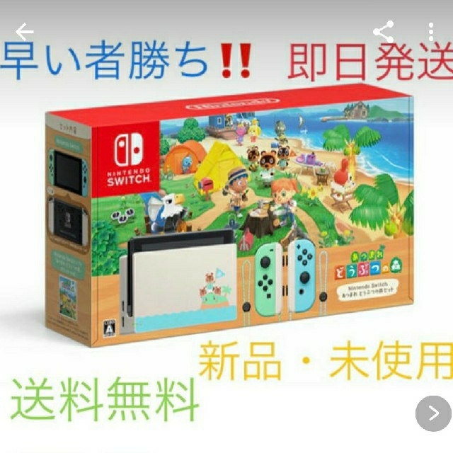Nintendo Switch 新型 ニンテンドー スイッチ 動物の森セット 家庭用ゲーム機本体