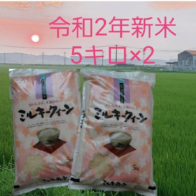 新米令和2年産ミルキークイーン精米10キロ、送料無料。