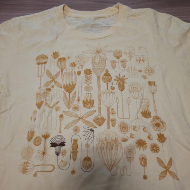 patagonia(パタゴニア)のPatagonia レディースTシャツ（19） レディースのトップス(Tシャツ(半袖/袖なし))の商品写真