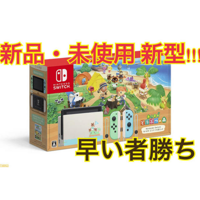 Nintendo Switch あつまれどうぶつの森セットニンテンドースイッチ