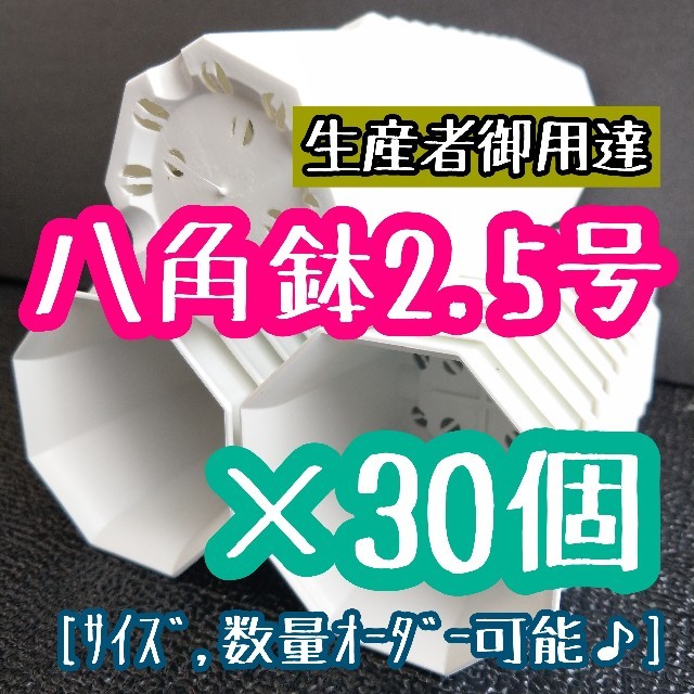 八角鉢 (白) 2.5号 ◎30個◎ 2.5寸 シャトル鉢 ホワイト ハンドメイドのフラワー/ガーデン(その他)の商品写真