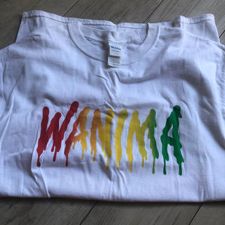 ワニマ(WANIMA)のWANIMATシャツ(ポップス/ロック(邦楽))