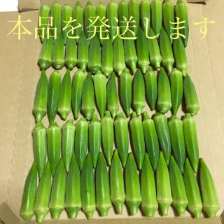 朝採り収穫鮮度抜群自然栽培農薬不使用広島県産新鮮夏野菜採れたて小ぶりオクラセット(野菜)