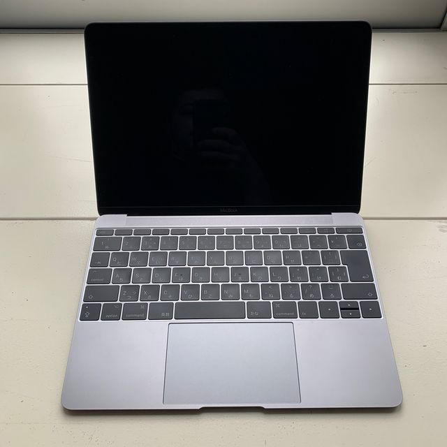 【美品】MacBook 12-inch 2017 8GB/256GB JP