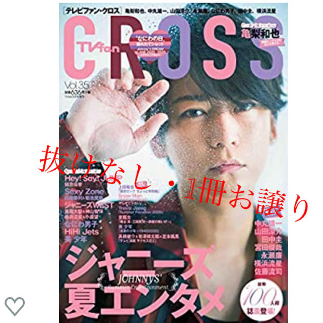 TV fan CROSS エンタメ/ホビーの雑誌(アート/エンタメ/ホビー)の商品写真