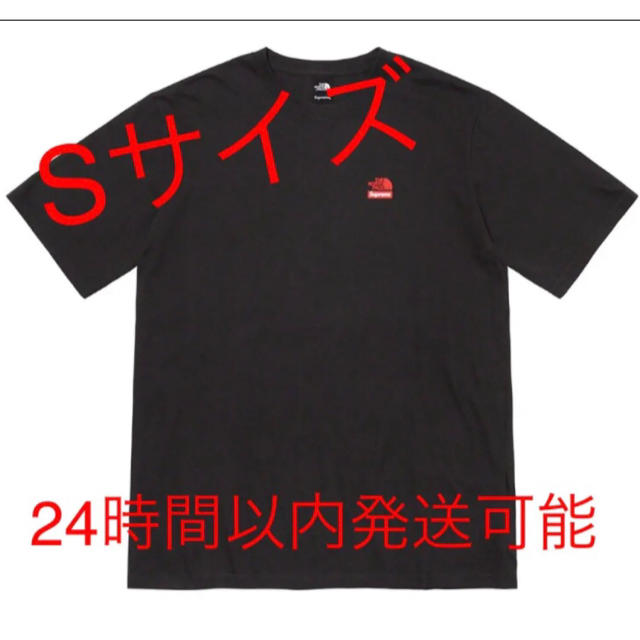 Supreme(シュプリーム)のThe North Face Statue of Liberty Tee メンズのトップス(Tシャツ/カットソー(半袖/袖なし))の商品写真