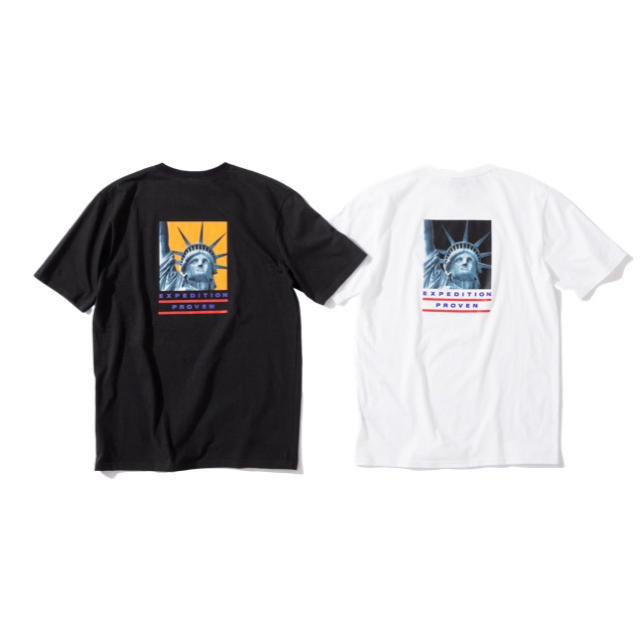 The North Face Statue of Liberty Tee 1