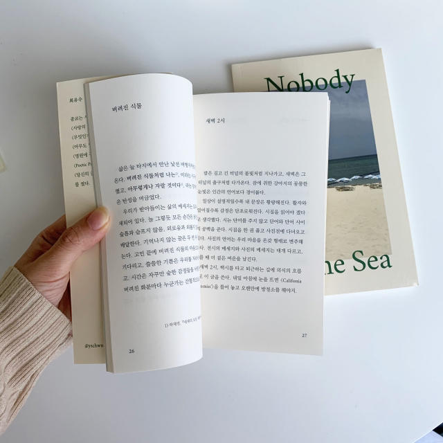 nobody in the sea 韓国小説 エンタメ/ホビーの本(文学/小説)の商品写真