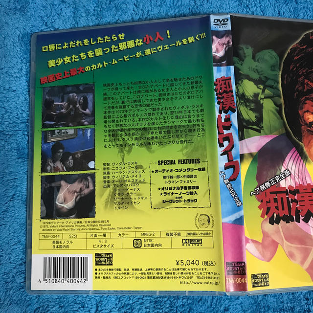 痴漢 dvd 