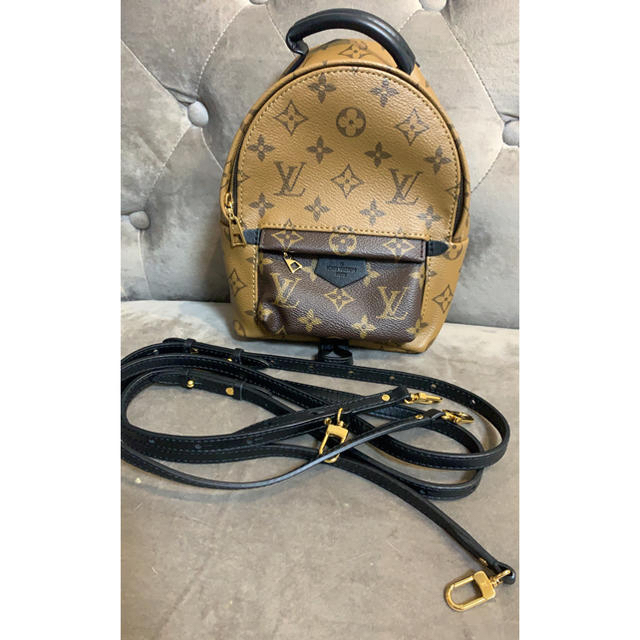 Louis Vuitton Palm Springs Mini