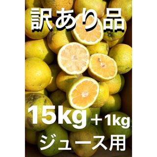 超超訳あり品　愛媛　宇和ゴールド15Kg＋1kg   河内晩柑　ジュース用(フルーツ)