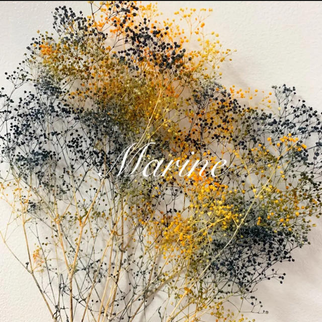 ソフトミニかすみ草 ハロウィンカラー 10ｇ ハーバリウム花材 ハンドメイドのフラワー/ガーデン(ドライフラワー)の商品写真