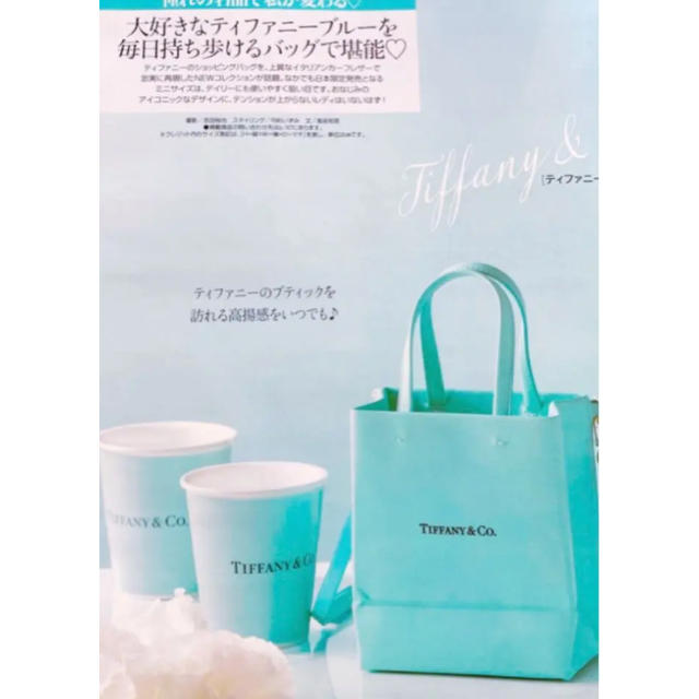 Tiffany & Co.(ティファニー)のティファニー　ショッピングトート　ミニ　ショッピング　バッグ　トートバッグ レディースのバッグ(ショルダーバッグ)の商品写真