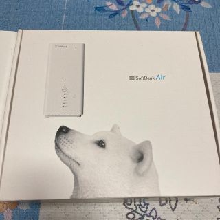 ソフトバンクAIR(PC周辺機器)