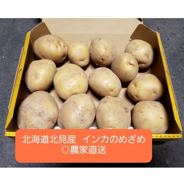 北海道　北見産　じゃがいも　インカのめざめ　2kg　◎農家直送 食品/飲料/酒の食品(野菜)の商品写真