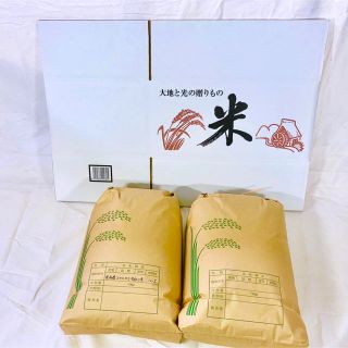 新米！令和２年度 高知県産コシヒカリ 20kg 玄米 精米無料(米/穀物)