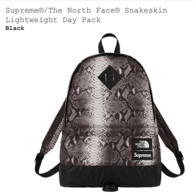 supreme the noth face day pack