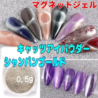 9Dキャッツアイジェル✨マグネットパウダー♡♡(ネイル用品)