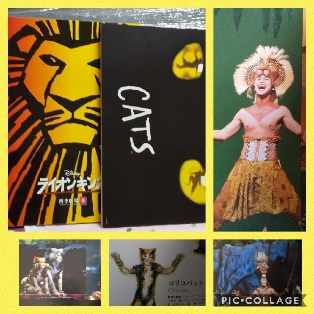 Disney(ディズニー)のライオンキング &CATS 四季劇場 エンタメ/ホビーの本(その他)の商品写真