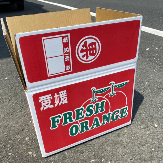 大玉　宇和ゴールド　10Kg  河内晩柑　愛媛 食品/飲料/酒の食品(フルーツ)の商品写真