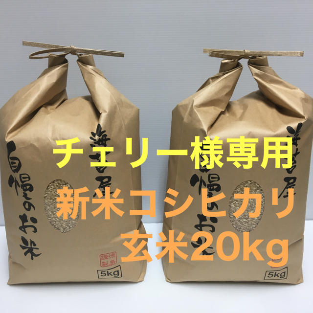 チェリー様専用 新米コシヒカリ玄米20kg(5kg×4)令和2年 徳島県産 www