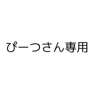 ぴーつさん専用(その他)