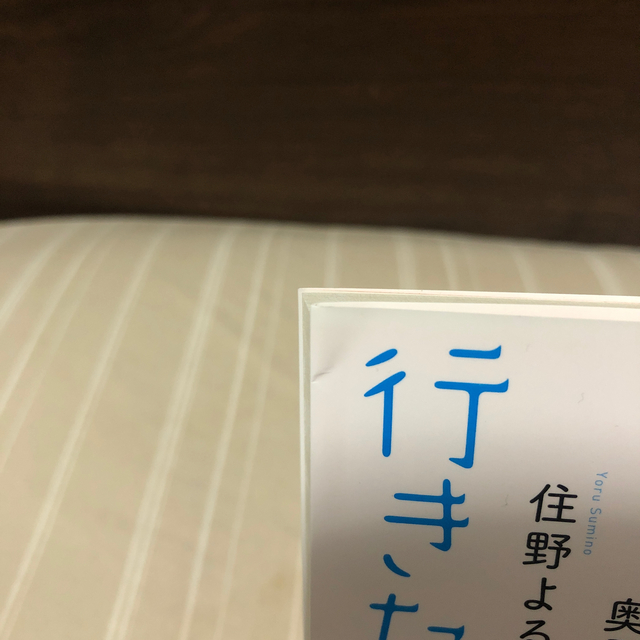 行きたくない エンタメ/ホビーの本(文学/小説)の商品写真