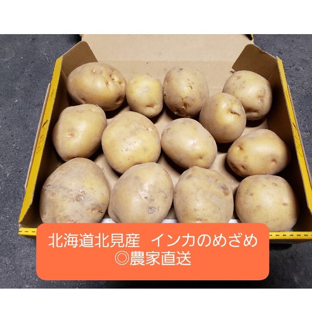 北海道 北見産 じゃがいも インカのめざめ ◎農家直送 食品/飲料/酒の食品(野菜)の商品写真